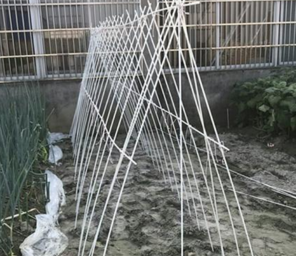 玻璃纤维杆爬藤架的介绍